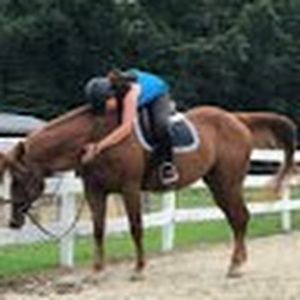 Meet your Posher, Allison